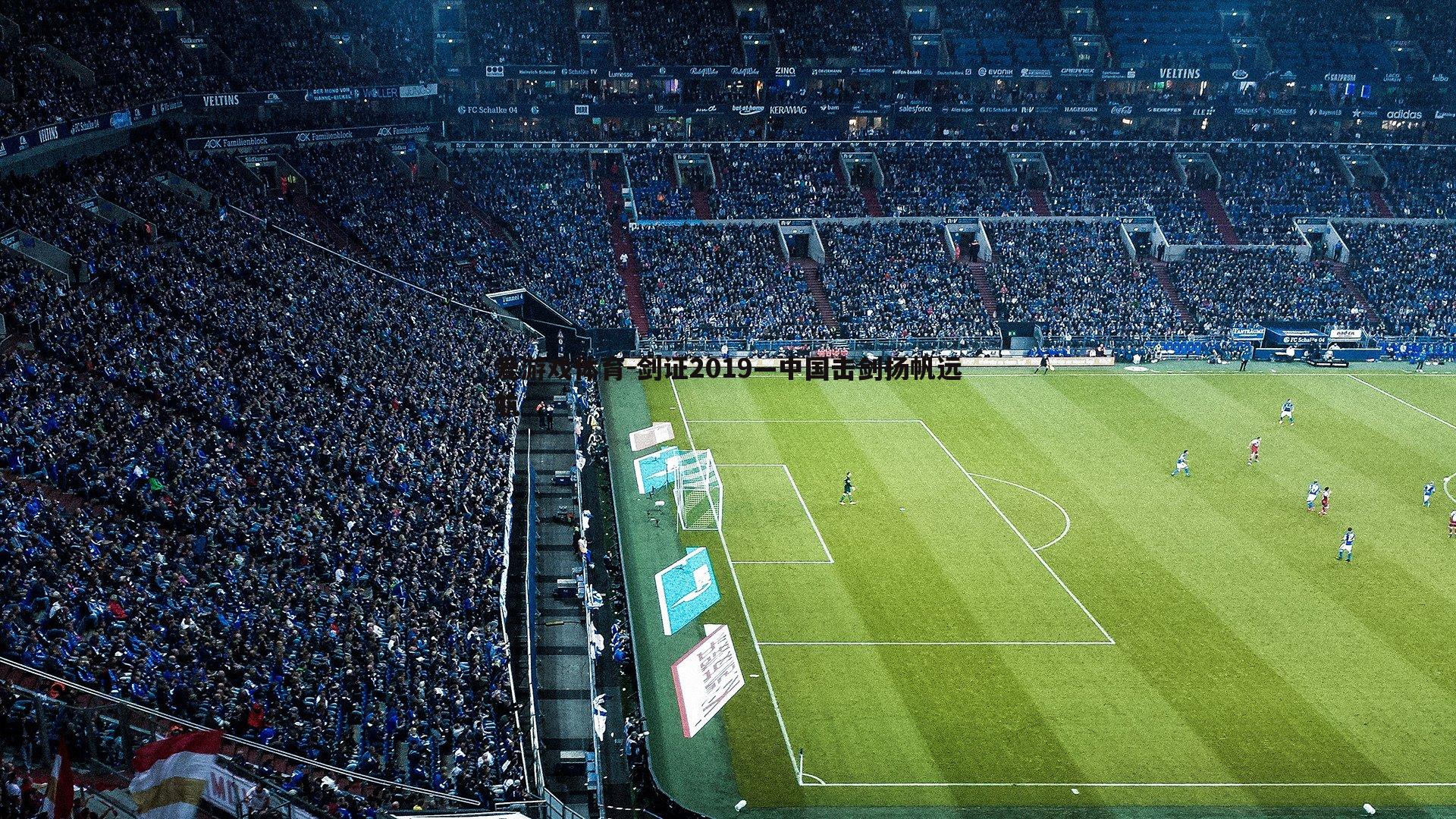 剑证2019—中国击剑扬帆远航